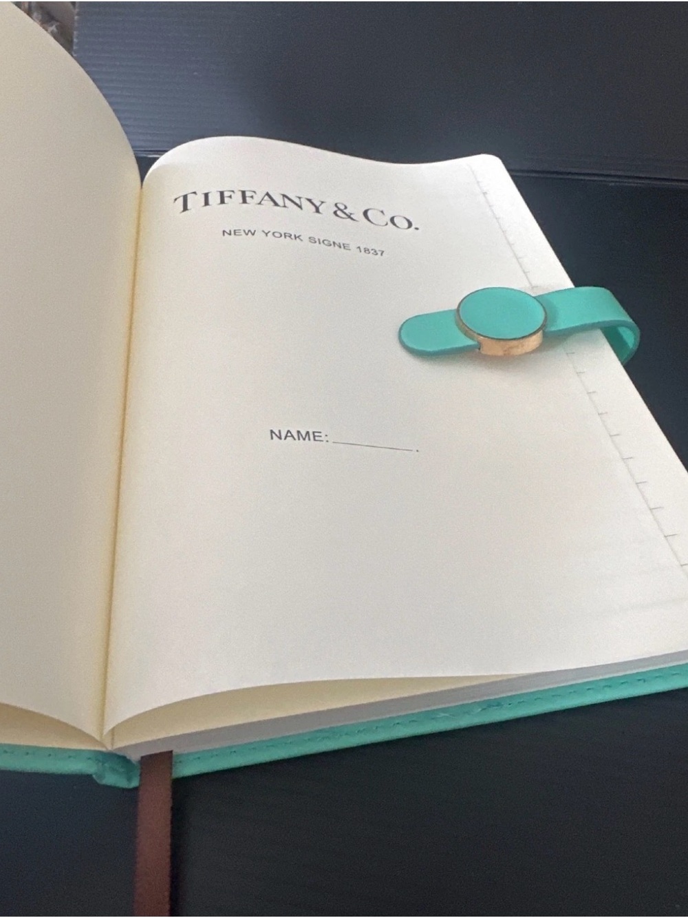 Tiffany & Co. White and Tiffany Blue Leather Notebook Cover - Picture 4 of 6